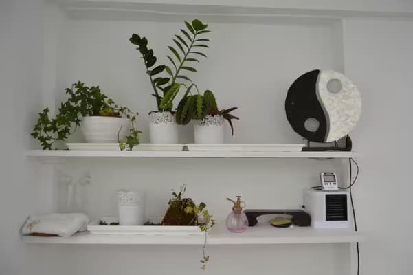 Location cabinet emplacement prestigieux palais royal