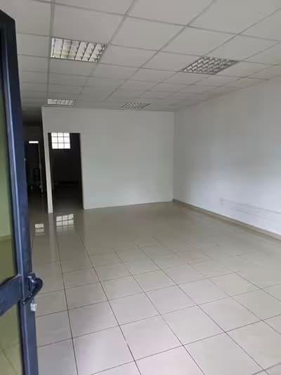 Location local professionnel trois bassins reunion