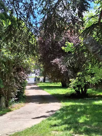 Location de 2 bureaux de 15m² chacun - 590€ cc / ttc