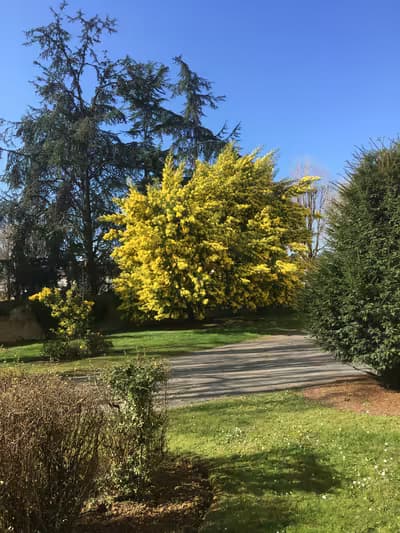 à louer bureau 20 m2 insonorisé - temps plein  > nantes - beauséjour